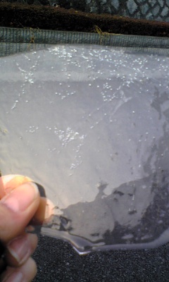 20090116 ice