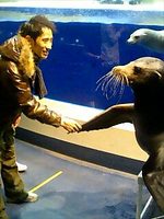 090120_suizokukan-4.jpg