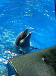 090120_suizokukan-6.jpg