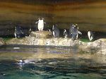 090120_suizokukan-5.jpg