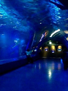 090120_suizokukan-1.jpg