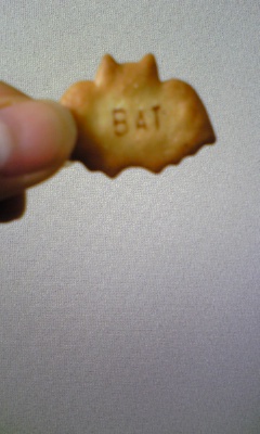 090119 cookie