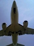 100612_adomachikkuM1.jpg