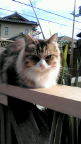 20101027125040.jpg