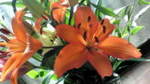 20101224122708.jpg