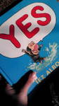 20110207153448.jpg