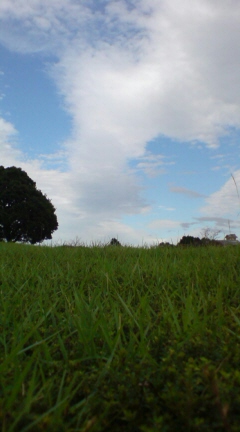 20071009140141.jpg