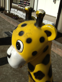 image-20120125175605.png